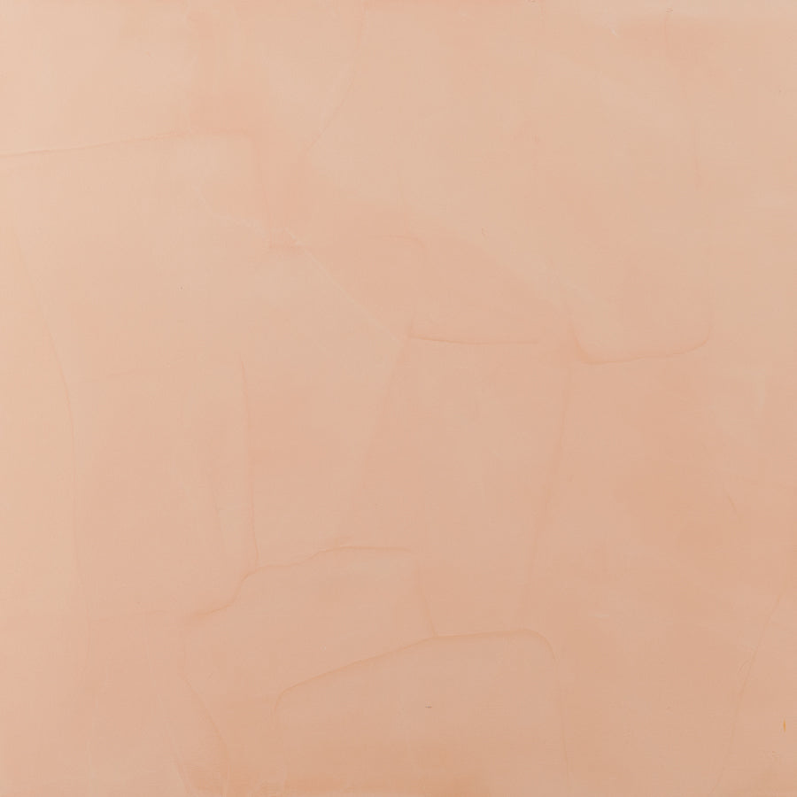 Hanes Coral