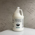 Matte Protective Spray Sealer