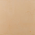 Sahara Nevada