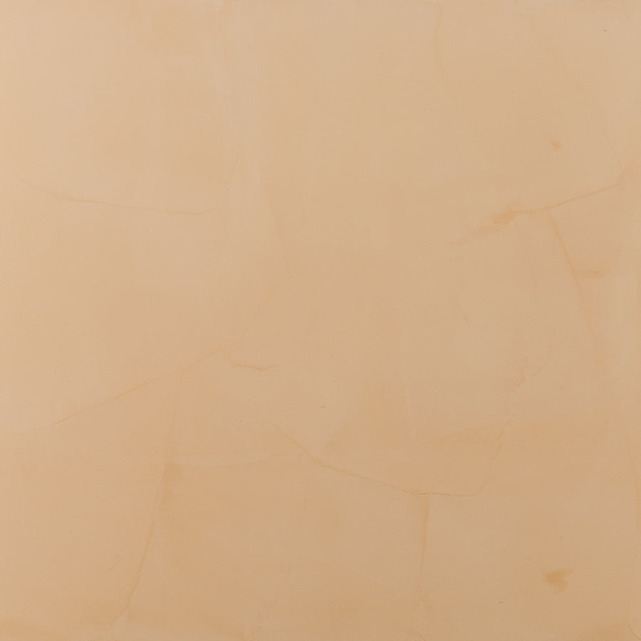 Sahara Nevada